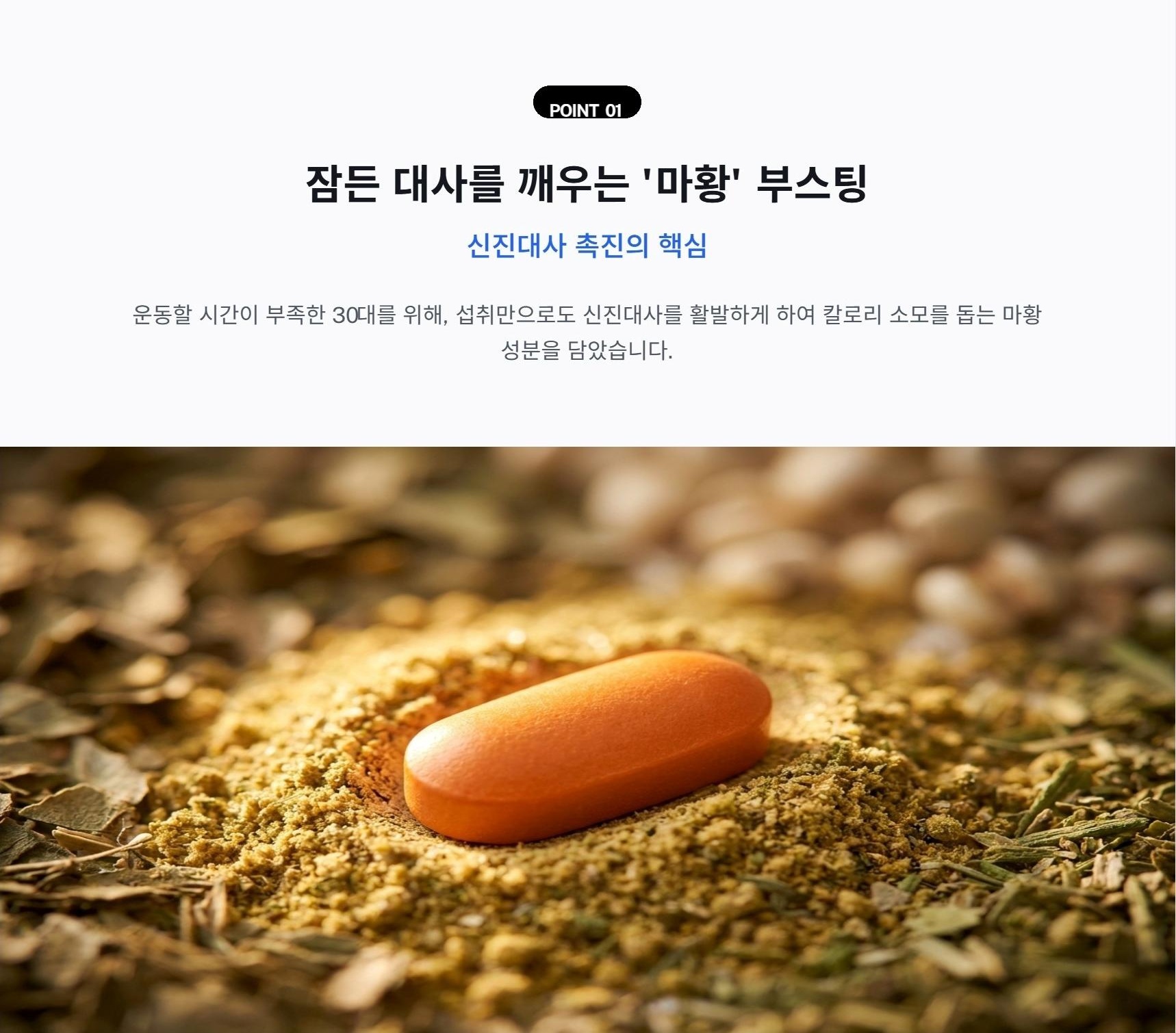 마황 부스팅